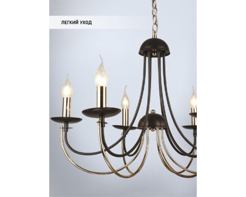 Подвесная люстра Kali WD3540/6H-CF-FGD-CL Wedo Light