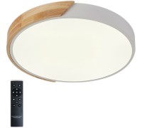 Потолочный светильник Scandinavian LED LAMPS 81181 Natali Kovaltseva