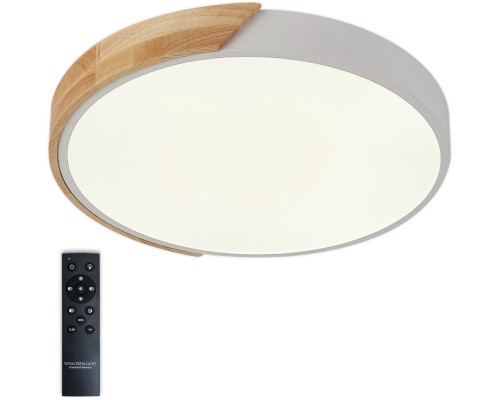 Потолочный светильник Scandinavian LED LAMPS 81181 Natali Kovaltseva