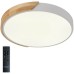 Потолочный светильник Scandinavian LED LAMPS 81181 Natali Kovaltseva