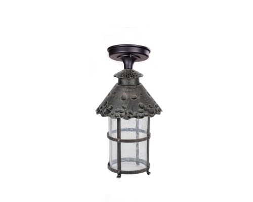 Потолочный светильник уличный CAIOR 1 81505A R Oasis Light