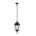 Уличный светильник подвесной ASTORIA 2 91405L cover Bl Oasis Light