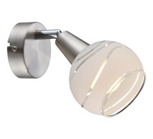 Спот Elliott 54341-1 Globo