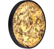 Настенно-потолочный светильник Bergi 5064/40L Odeon Light