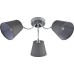 Потолочная люстра Alexa 9163-303 Rivoli