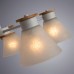 Потолочная люстра Tyler A1031PL-5WH Arte Lamp