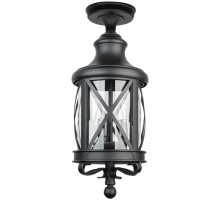 Потолочный светильник уличный LUCERNA 84805A Bl Oasis Light