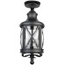 Потолочный светильник уличный LUCERNA 84805A Bl Oasis Light