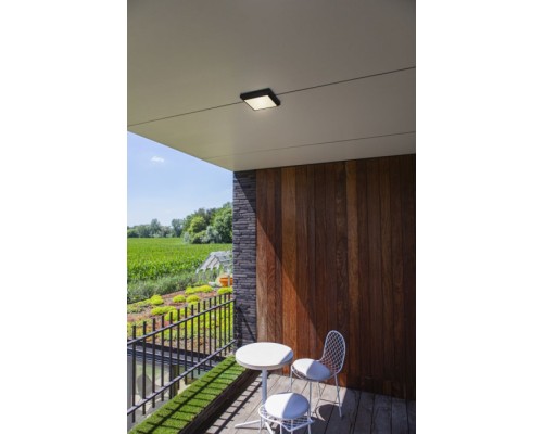 Потолочный светильник уличный SIDNEY LED W1021 Gr Oasis Light