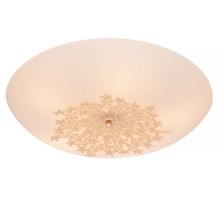 Настенно-потолочный светильник Verbena 835.50.5 Silver Light