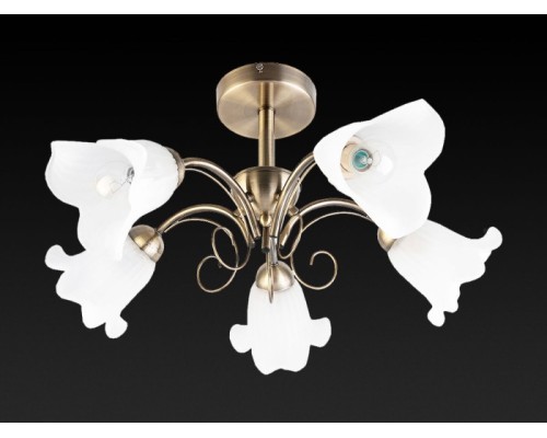 Потолочная люстра Magdalene TL3490X-05AB TopLight