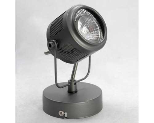 Спот Haines LSP-8045 Lussole Loft