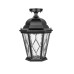 Потолочный светильник уличный ASTORIA 2M 91405MA Bl ромб Oasis Light