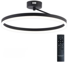 Потолочная люстра Finam LED LAMPS 81121/2C Natali Kovaltseva