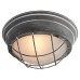 Потолочный светильник Brentwood LSP-9881 Lussole Loft