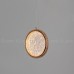 Подвесной светильник Ringone 11147 Cloyd