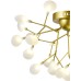 Потолочная люстра Grace GRACE 75126/6C GOLD SATIN Natali Kovaltseva