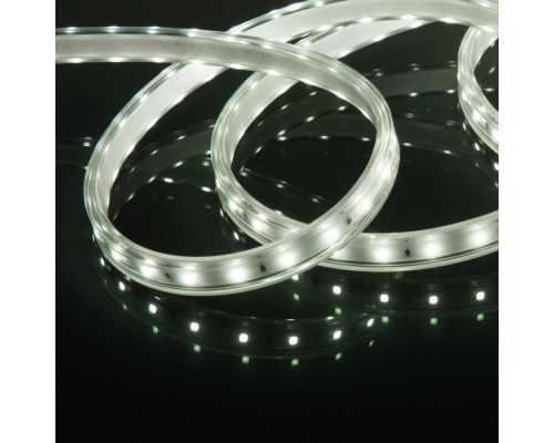Светодиодная лента LS014 220V Лента светодиодная 220V 8W 60Led 2835 IP65 холодный белый, 50 м Elektrostandard