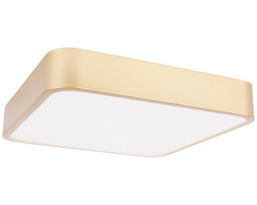Потолочный светильник Flims 10228/C Loft It