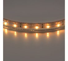 Светодиодная лента  402002 Lightstar