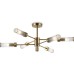 Потолочная люстра High Light LH55161 Ambrella