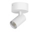 Спот Alta Base A5246SO Lightstar
