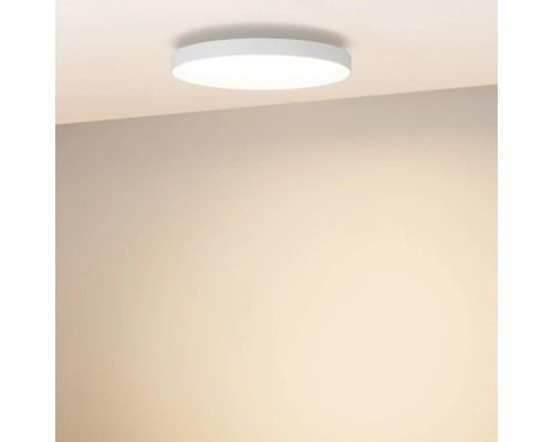 Потолочный светильник ESTELY 055367 Arlight