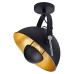 Спот Sherrelwood LSP-9825 Lussole Loft