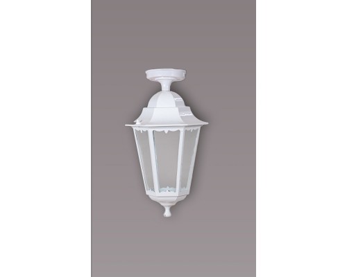 Потолочный светильник уличный PETERSBURG M 79805MA W Oasis Light