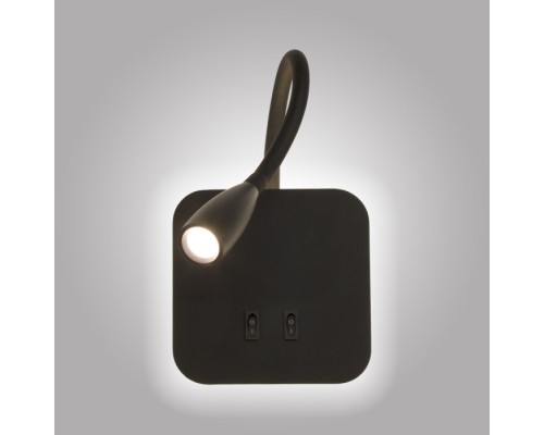 Спот  AM485 BK AM Group