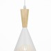 Подвесной светильник Parma 66574.01.09.01 Wedo Light