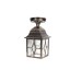 Потолочный светильник уличный TALLIN 1L 64305A Gb Oasis Light