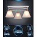 Потолочная люстра Gredi WD3634/3C-WT-FGD-WT Wedo Light