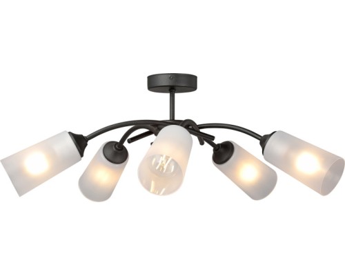 Потолочная люстра  V2850-1/5PL Vitaluce