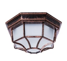 Потолочный светильник уличный Pegasus A3100PL-1AC Arte Lamp