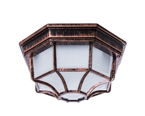 Потолочный светильник уличный Pegasus A3100PL-1AC Arte Lamp