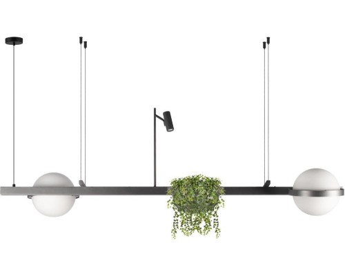 Подвесной светильник Jardin 10121/D Dark grey Loft It