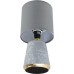 Интерьерная настольная лампа Giata 8168/1T Lumion