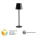 Уличная настольная лампа Fuyue A1614LT-1BK Arte Lamp
