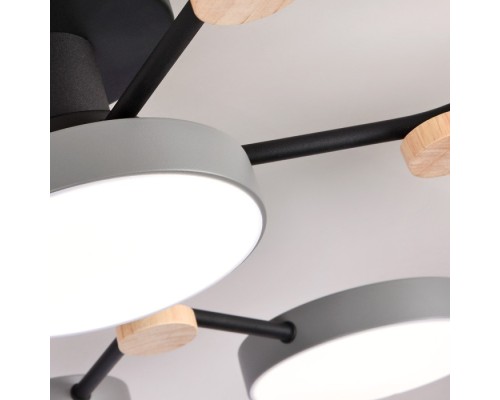 Потолочная люстра LED4U L3201-780 GR LED4U