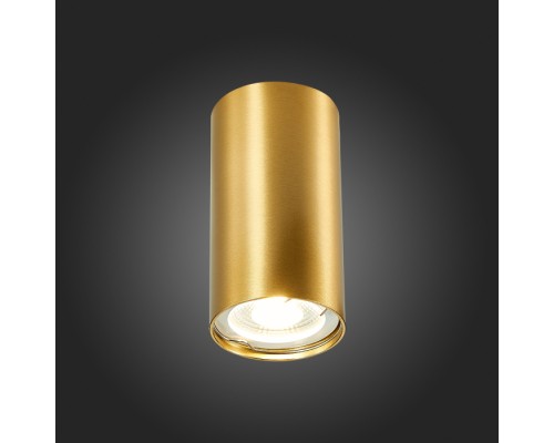 Точечный светильник St110 ST110.207.01 ST Luce