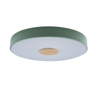 Потолочный светильник Axel 10003/24 Green Loft It