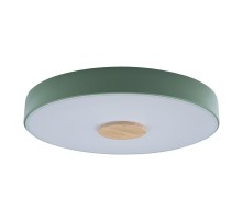 Потолочный светильник Axel 10003/24 Green Loft It