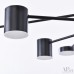Потолочная люстра Ferrara 3307.6293-12 Black APL LED