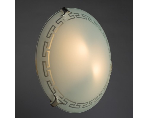 Настенно-потолочный светильник Antica A4220PL-2CC Arte Lamp
