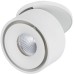 Спот Spircle 93372 Paulmann