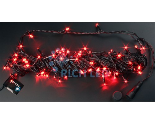 Гирлянда  RL-S10CF-24V-B/R Rich LED