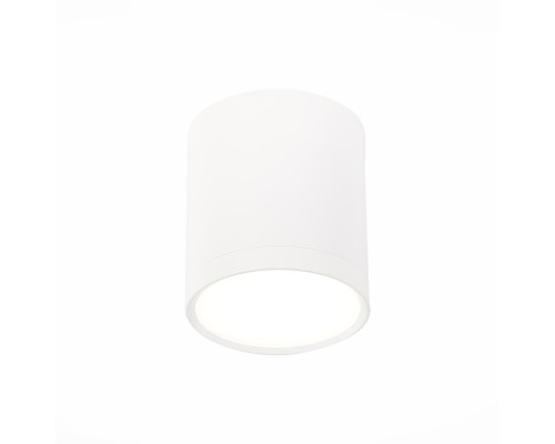Точечный светильник Rene ST113.542.05 ST Luce