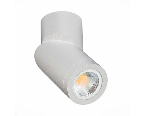 Точечный светильник ST650 ST650.502.01 ST Luce