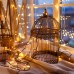 Гирлянда 400-001 400-001 теплый белый Eurosvet